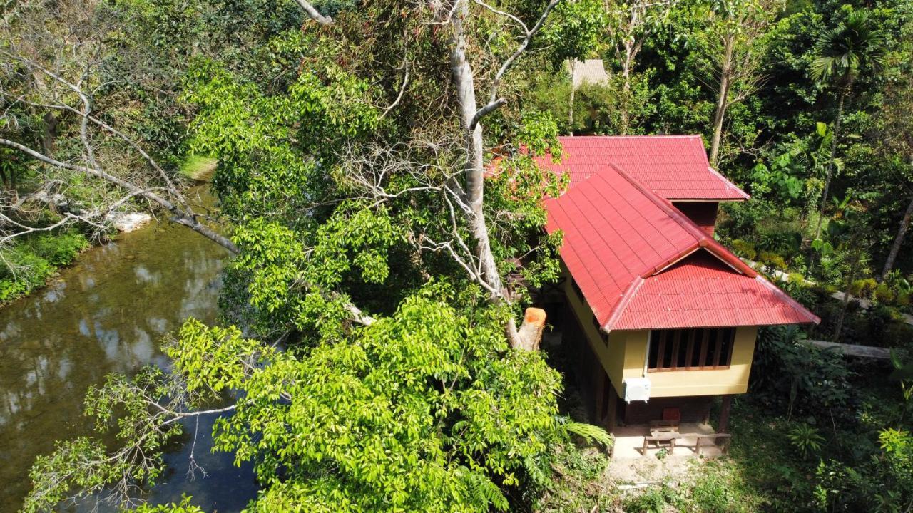 Art'S Riverview Lodge Khao Sok National Park Kültér fotó
