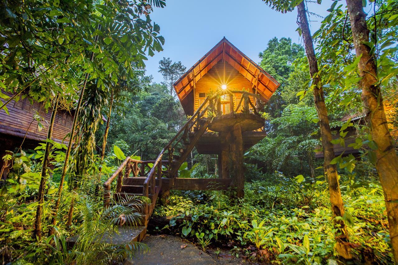 Art'S Riverview Lodge Khao Sok National Park Kültér fotó
